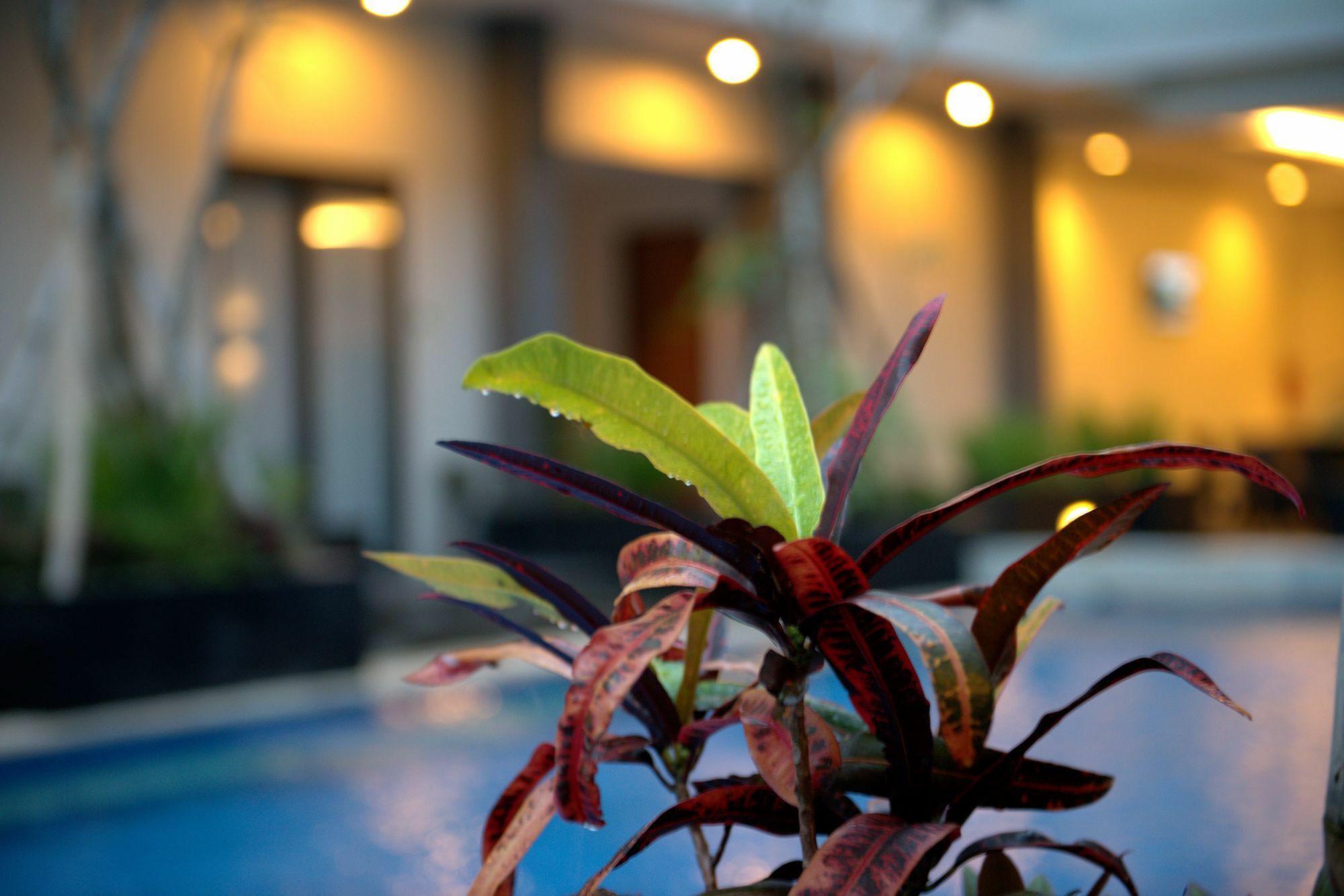 อิลลิรา ไลต์ ปรายา ลมบก Hotel ภายนอก รูปภาพ